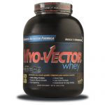 MYO VECTOR WHEY 74 SERVICIOS
